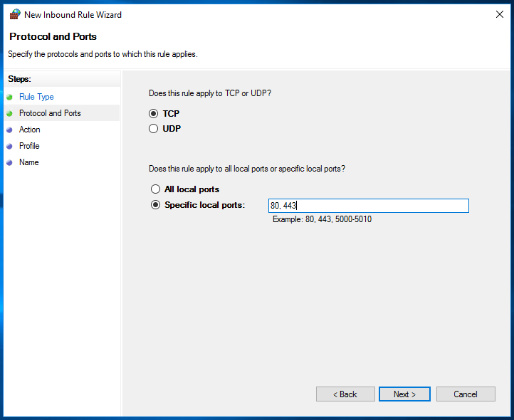 Selecting TCP and specifying ports